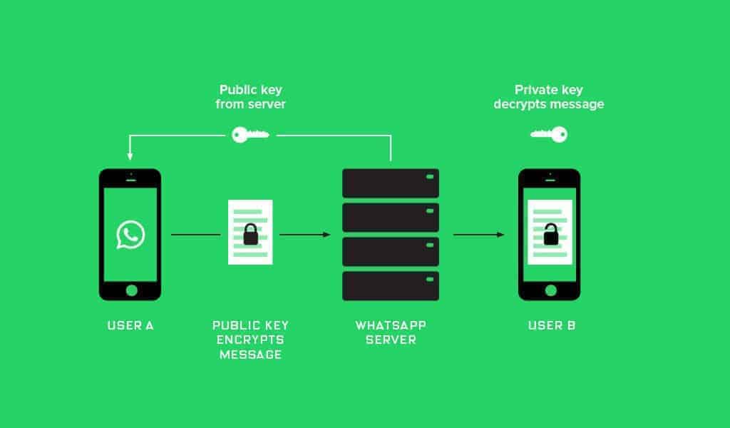 ¿Qué cambia con las API de WhatsApp Business?