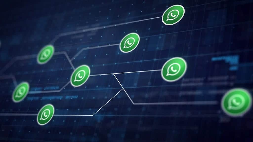 WhatsApp Business vs. WhatsApp Business API