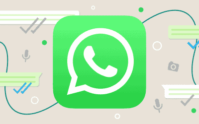 What are the WhatsApp Business APIs for?