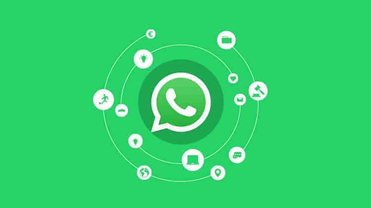 How your brand can set up a marketing strategy on WhatsApp